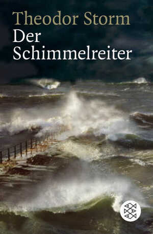 ISBN 9783596159826: Der Schimmelreiter – Novelle