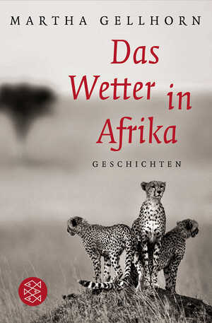 gebrauchtes Buch – Martha Gellhorn – Das Wetter in Afrika: Novellen