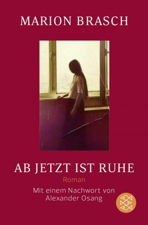 ISBN 9783596191963: Ab jetzt ist Ruhe – Roman meiner fabelhaften Familie