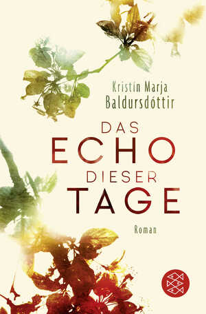 ISBN 9783596299591: Das Echo dieser Tage