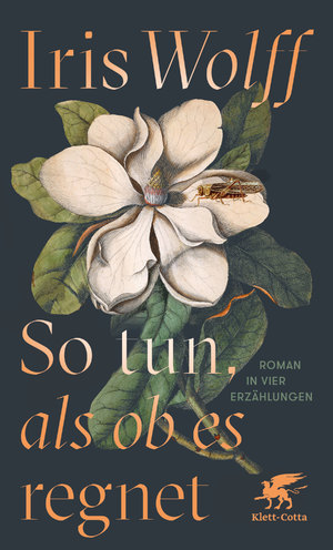 ISBN 9783608984910: So tun, als ob es regnet - Roman in vier Erzählungen