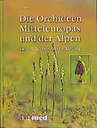 gebrauchtes Buch – H Presser – Die Orchideen Mitteleuropas und der Alpen