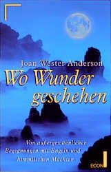 ISBN 9783612279644: Wo Wunder geschehen