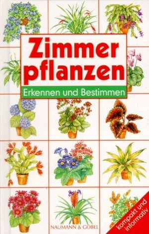 gebrauchtes Buch – Zimmerpflanzen. Erkennen und bestimmen