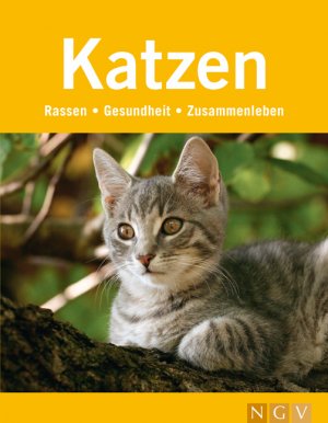 ISBN 9783625116844: Katzen