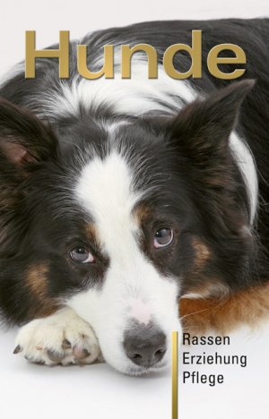 gebrauchtes Buch – Hunde