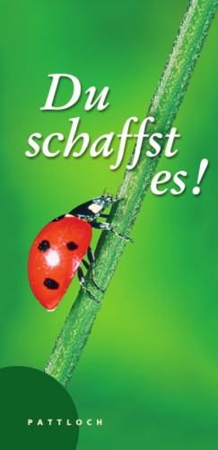 gebrauchtes Buch – Jutta Oster – Du schaffst es!