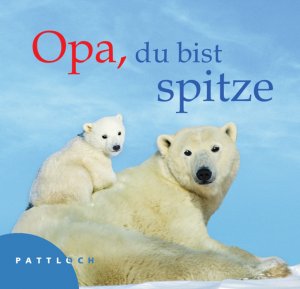 gebrauchtes Buch – Renate Teplan – Opa, du bist spitze