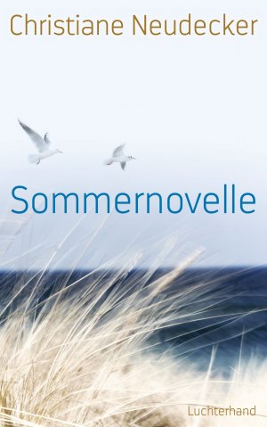 ISBN 9783630874593: Sommernovelle