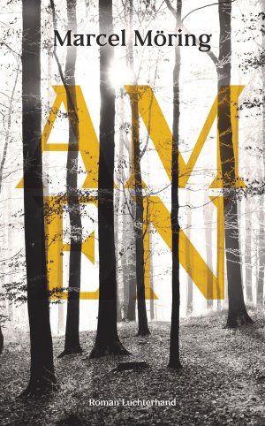 gebrauchtes Buch – Marcel Möring – AMEN : Roman