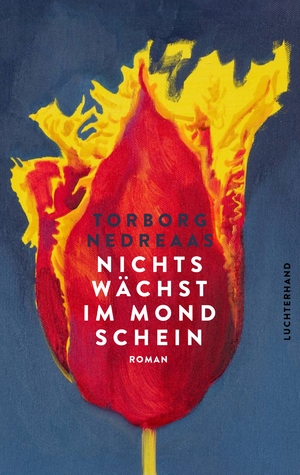 gebrauchtes Buch – Torborg Nedreaas – Nichts wächst im Mondschein – Roman