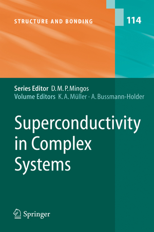 ISBN 9783642062087: Superconductivity in Complex Systems