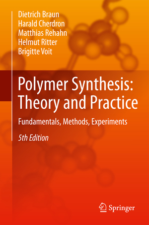 ISBN 9783642289798: Polymer Synthesis: Theory and Practice - Fundamentals, Methods, Experiments