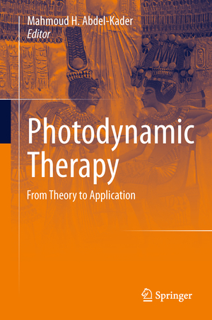 ISBN 9783642396281: Photodynamic Therapy - From Theory to Application