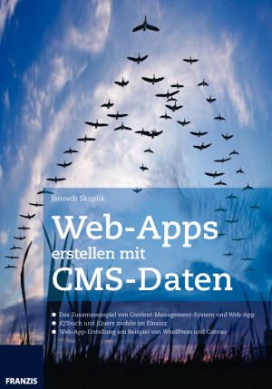 ISBN 9783645602143: Web-Apps erstellen mit CMS-Daten