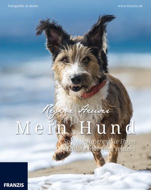 ISBN 9783645603584: Mein Hund - So fotografieren Sie Ihren Liebling mal ganz anders - Fotografie al dente