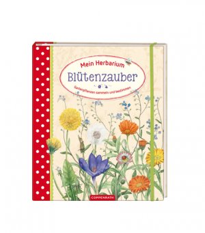 ISBN 9783649604372: Mein Herbarium: Blütenzauber - Gartenpflanzen sammeln und bestimmen