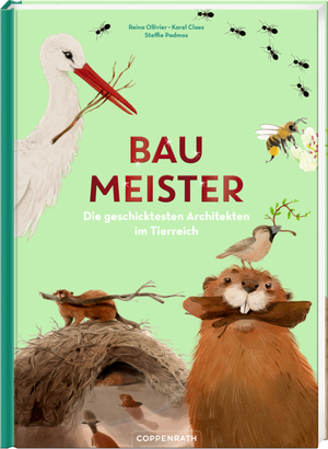 gebrauchtes Buch – Ollivier, Reina; Claes – Baumeister - Die geschicktesten Architekten im Tierreich