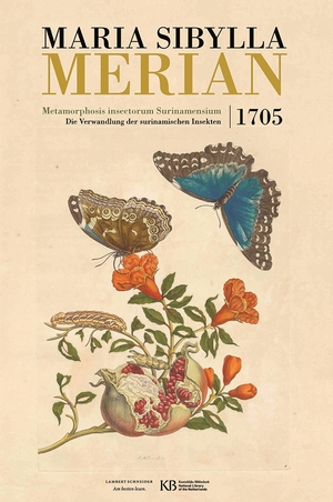 neues Buch – Merian, Maria Sybilla – Metamorphosis insectorum Surinamensium - Die Verwandlung der surinamischen Insekten 1705