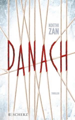 ISBN 9783651000452: Danach