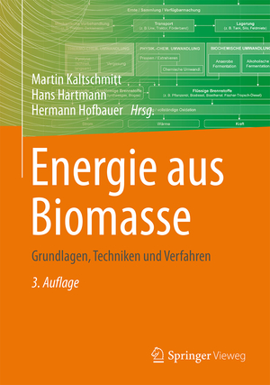 ISBN 9783662474372: Energie aus Biomasse - Grundlagen, Techniken und Verfahren