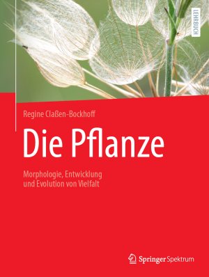 ISBN 9783662654422: Die Pflanze