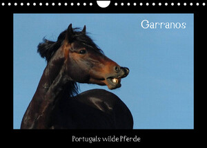 ISBN 9783672990770: Garranos (Wandkalender 2022 DIN A4 quer) – Portugals letzte Wildpferde (Monatskalender, 14 Seiten )