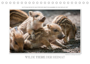 ISBN 9783673048685: Emotionale Momente: Wilde Tiere der Heimat. / CH-Version (Tischkalender 2022 DIN A5 quer) - Ingo Gerlach GDT hat die schönsten Bilder der wilden Tier der Heimat für diesen Kalender ausgesucht. (Monatskalender, 14 Seiten )