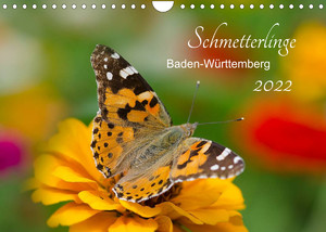 ISBN 9783673198212: Schmetterlinge Baden-Württemberg (Wandkalender 2022 DIN A4 quer) – Makroaufnahmen von Schmetterlingen (Monatskalender, 14 Seiten )