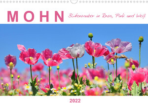 ISBN 9783673920196: Mohn, Blütenzauber in Rosa, Pink und Weiß (Wandkalender 2022 DIN A3 quer) – Ein Streifzug durch Schlafmohnfelder (Monatskalender, 14 Seiten )