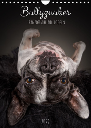 ISBN 9783674050342: Bullyzauber - Französische Bulldoggen (Wandkalender 2022 DIN A4 hoch) - Französische Bulldoggen optimal in Szene gesetzt. (Monatskalender, 14 Seiten )