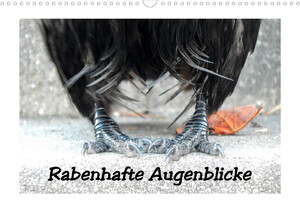 ISBN 9783674937391: Rabenhafte Augenblicke (Wandkalender 2023 DIN A3 quer) - Rabenvögel auf Tuchfühlung, dem Glücksraben auf die Krallen geschaut (Monatskalender, 14 Seiten )