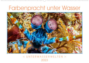 ISBN 9783675048614: Farbenpracht unter Wasser (Wandkalender 2023 DIN A2 quer) – Ein Kalender mir farbstarken und ausdrucksvollen Aufnahmen aus der tropischen Unterwasserwelt. (Monatskalender, 14 Seiten )