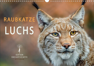 ISBN 9783675122116: Raubkatze Luchs (Wandkalender 2023 DIN A3 quer) - Der Luchs, lange gejagt und fast ausgestorben. Das scheue Wildtier ist wieder zurück. (Monatskalender, 14 Seiten )