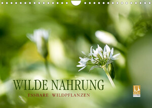 ISBN 9783675156098: WILDE NAHRUNGAT-Version (Wandkalender 2023 DIN A4 quer) – Essbare Wildpflanzen: faszinierend, gesundheitsfördernd und artenreich. (Monatskalender, 14 Seiten )