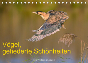 ISBN 9783675285767: Vögel, Gefiederte Schönheiten (Tischkalender 2023 DIN A5 quer) - Einmalige Bilder von zum Teil seltenen Arten. (Monatskalender, 14 Seiten )