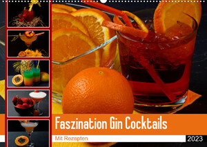 ISBN 9783675292536: Faszination Gin Cocktails (Wandkalender 2023 DIN A2 quer) - Farbenfrohe Cocktailvariationen mit Gin und mit Rezept (Monatskalender, 14 Seiten )