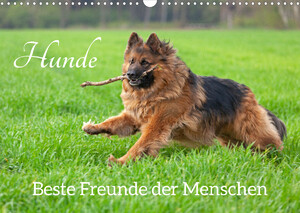 ISBN 9783675299023: Hunde - Beste Freunde der Menschen (Wandkalender 2023 DIN A3 quer)