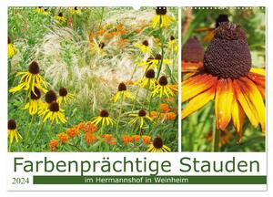 ISBN 9783675601802: Farbenprächtige Stauden im Hermannshof in Weinheim (Wandkalender 2024 DIN A2 quer), CALVENDO Monatskalender - Der Sichtungsgarten Hermannhof verbindet einen wunderschönen Park mit dem wissenschaftlichen Ansatz zur Erforschung von Stauden.