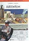 ISBN 9783702226114: Judentum