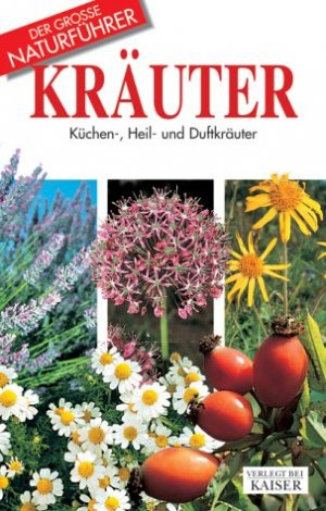 ISBN 9783704313140: Kräuter