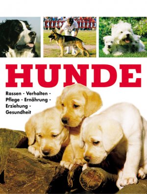 ISBN 9783704360489: Hunde – Rassen - Verhalten - Pflege - Ernährung - Erziehung - Gesundheit