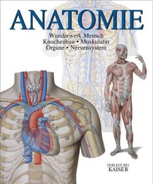 gebrauchtes Buch – Olaf Wieser – Anatomie. Wunderwerk Mensch: Knochenbau - Muskulatur - Organe - Nervensystem