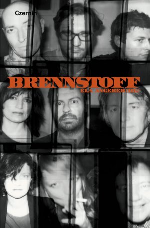 ISBN 9783707603514: Brennstoff