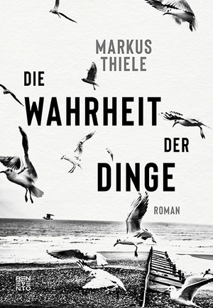 gebrauchtes Buch – Markus Thiele – Die Wahrheit der Dinge gebrauchtes Buch – Markus Thiele – Die Wahrheit der Dinge