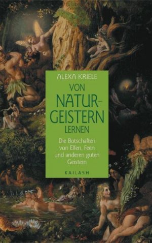 ISBN 9783720525930: Von Naturgeistern lernen – Die Botschaften von Elfen, Feen und anderen guten Geistern