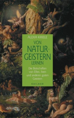 ISBN 9783720525930: Von Naturgeistern lernen