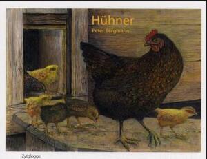 ISBN 9783729606036: Hühner