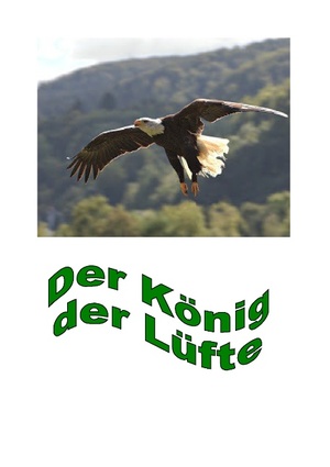 ISBN 9783732298143: Der König der Lüfte