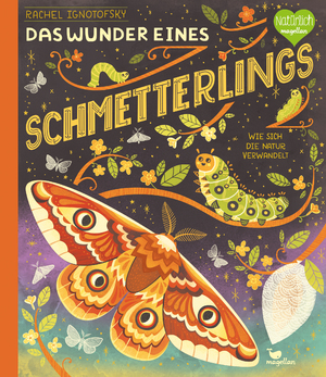 ISBN 9783734860645: Das Wunder eines Schmetterlings - Wie sich die Natur verwandelt - Ein Sachbilderbuch für Kinder ab 6 Jahren über Insekten